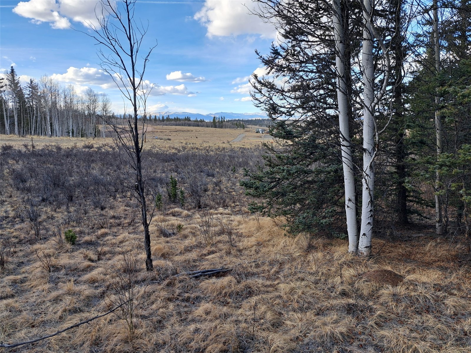 1059 Piaute Way Como, CO 80432 - Photo 32 of 34 a view of a yard with trees
