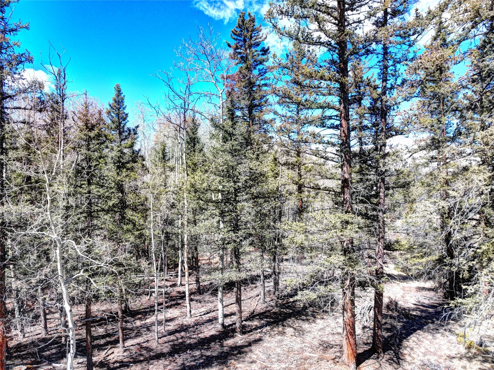 1059 Piaute Way Como, CO 80432 - Photo 4 of 34 a view of a city with lots of trees