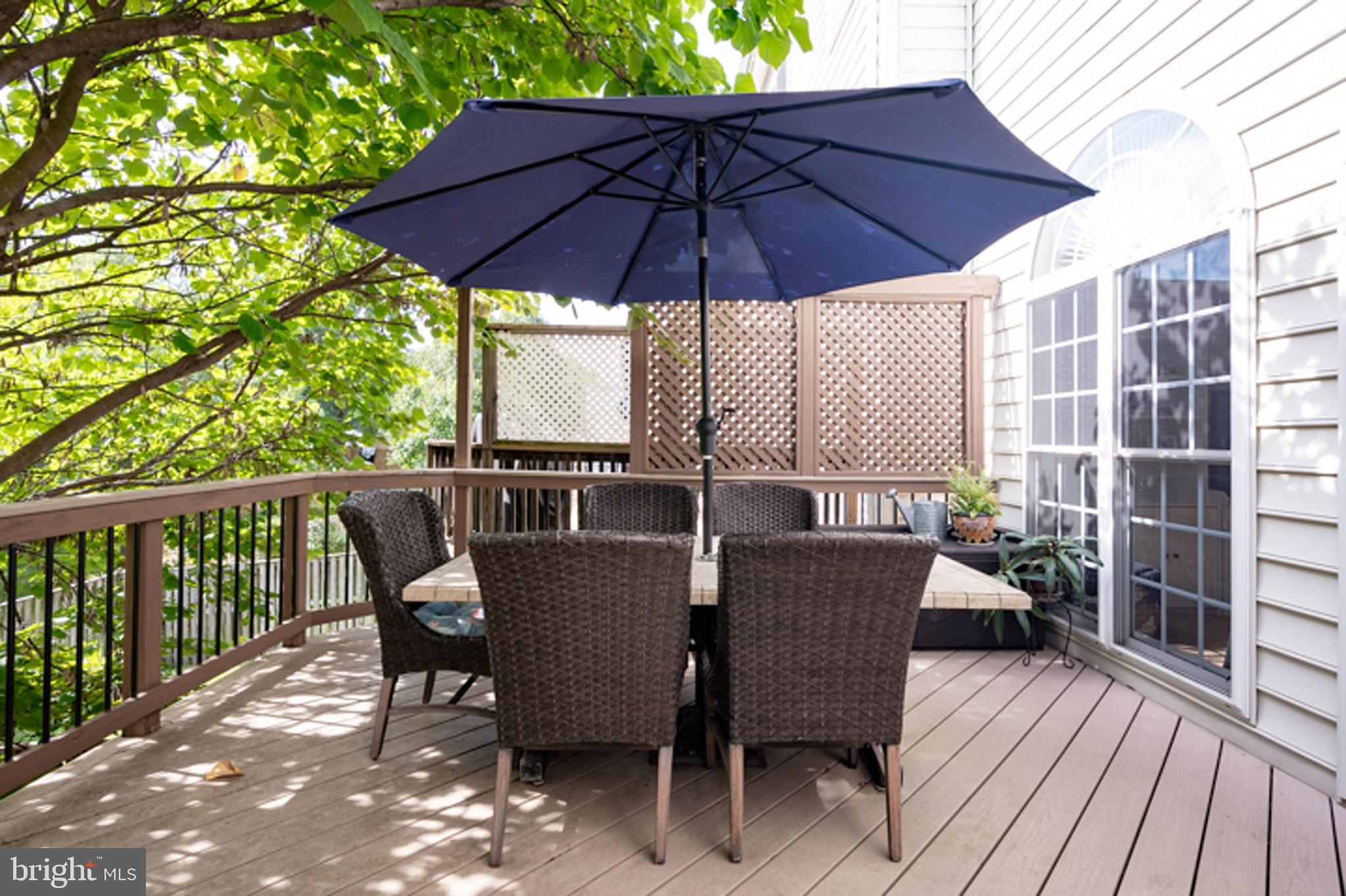 24614 Nettle Mill Square Aldie, VA 20105 - Photo 11 of 48 DECK 2