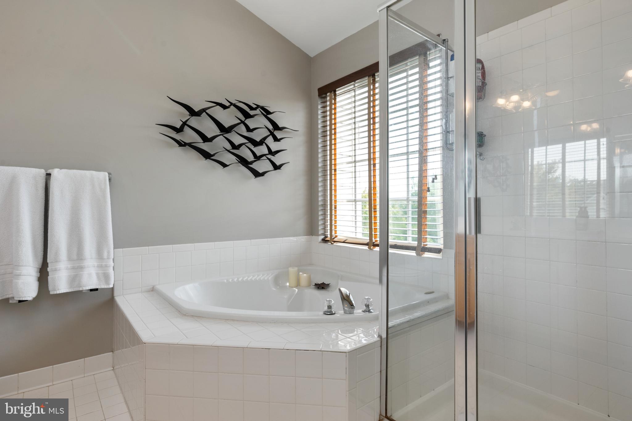 24614 Nettle Mill Square Aldie, VA 20105 - Photo 28 of 48 PRIMARY BATH 1