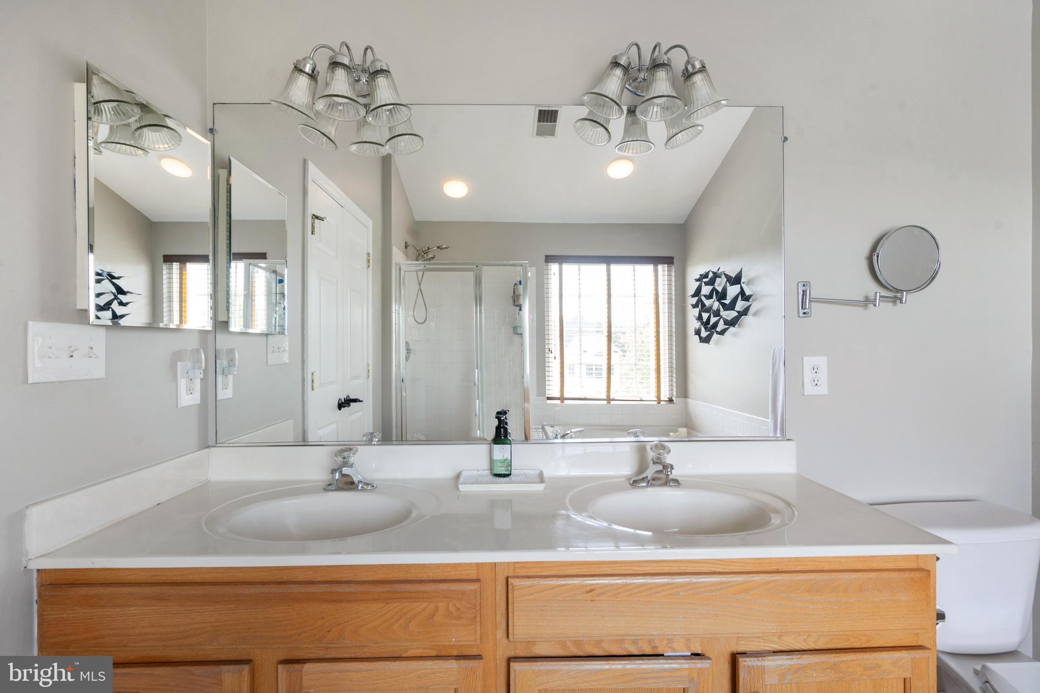 24614 Nettle Mill Square Aldie, VA 20105 - Photo 29 of 48 PRIMARY BATH 2