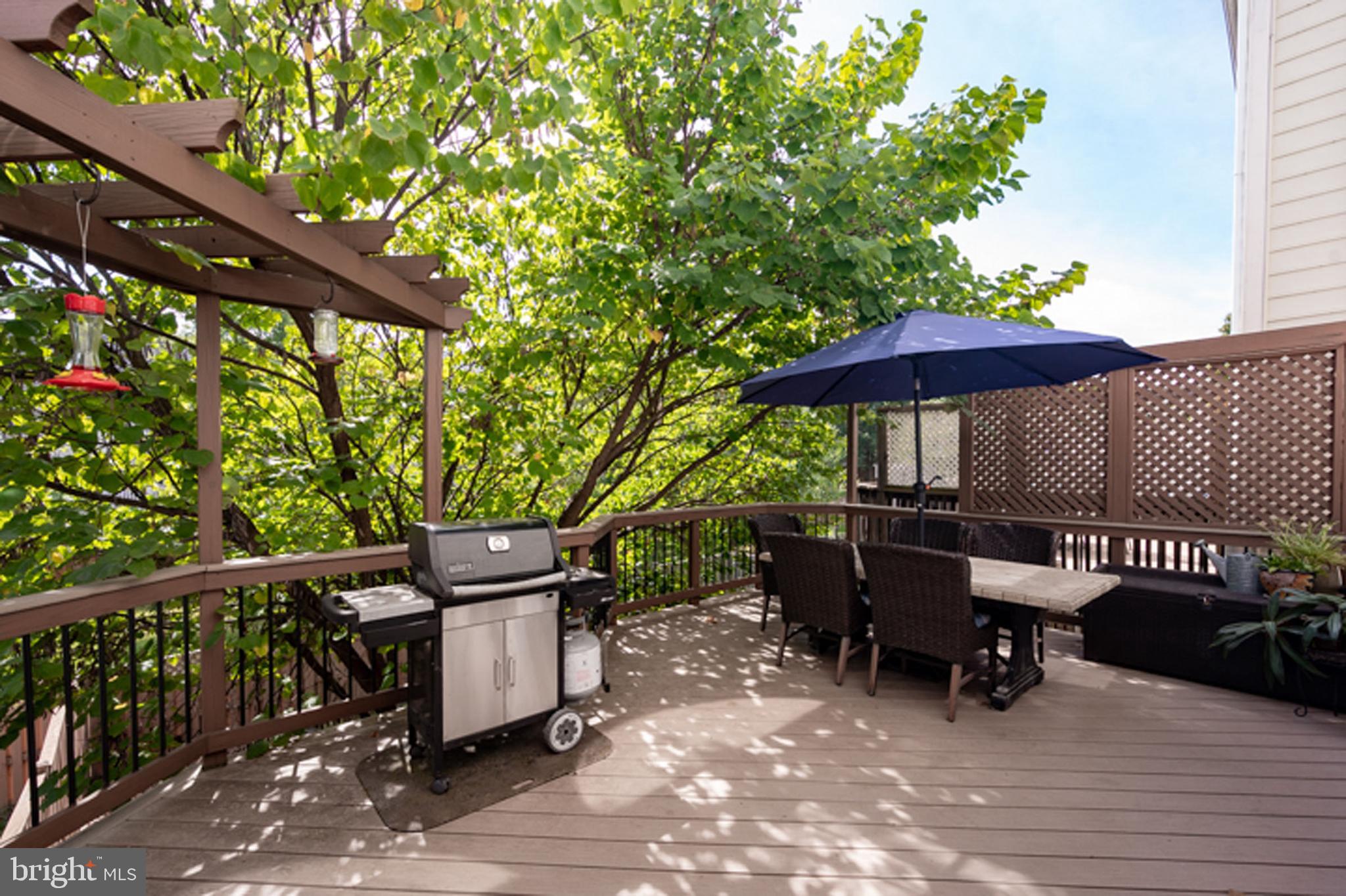 24614 Nettle Mill Square Aldie, VA 20105 - Photo 10 of 48 DECK 1