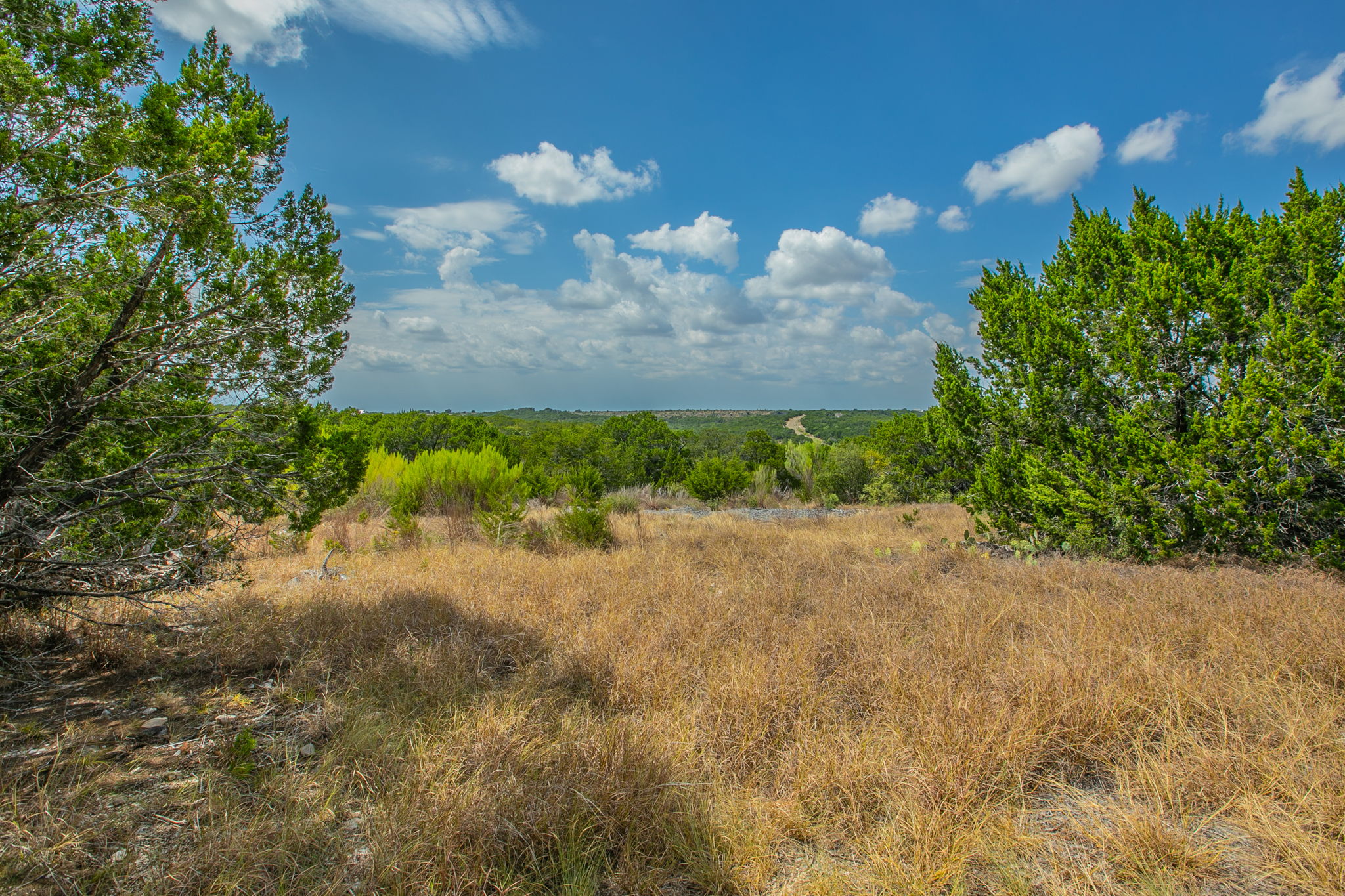76 Balcones Ridge Way Bertram, TX 78605 - Photo 6 of 16 Mature trees frame expansive, far-reaching views across the rolling countryside.
