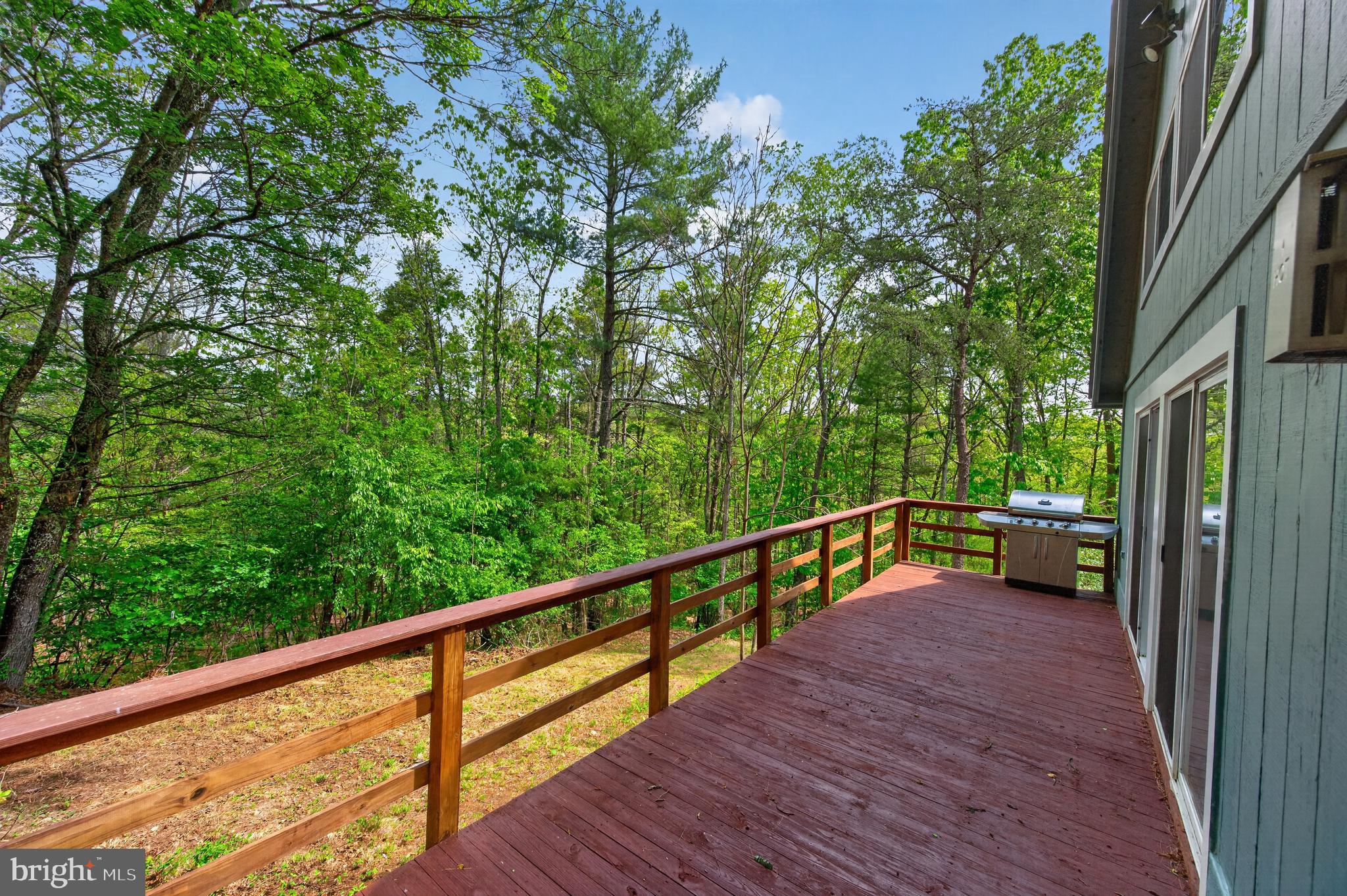 393 Palmer Road Basye, VA 22810 - Photo 10 of 33