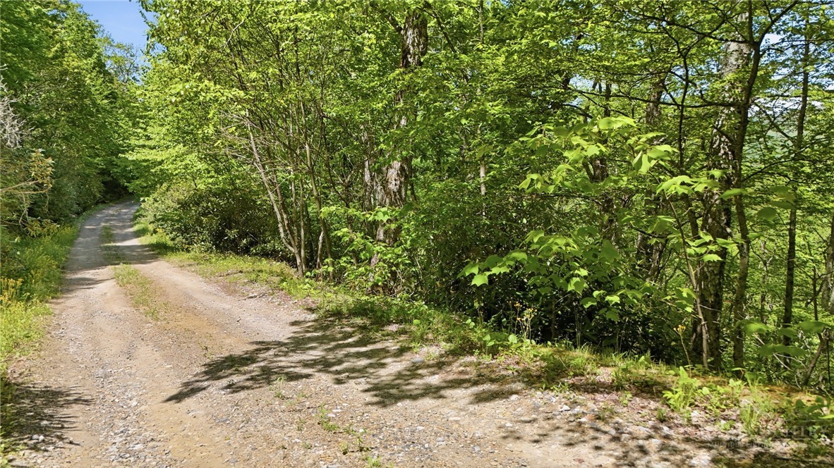 Lot #31 Snow Ridge Road Banner Elk, NC 28604 - Photo 17 of 19 Gallery Image 17