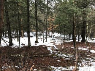 Davis Road Beach Lake, PA 18405 - Photo 14 of 22