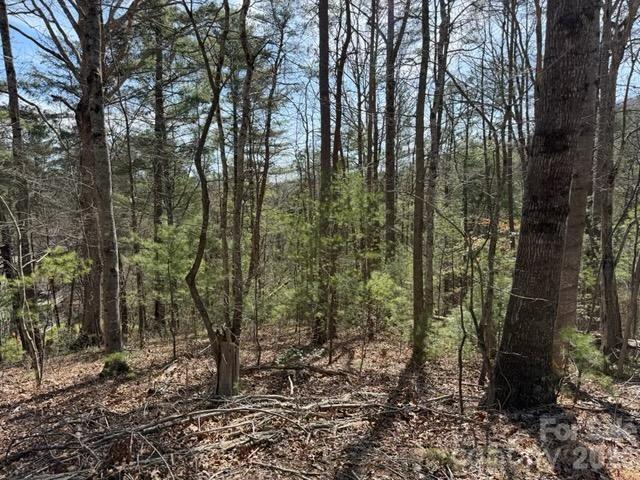 2 Frontier Court Asheville, NC 28805 - Photo 2 of 3