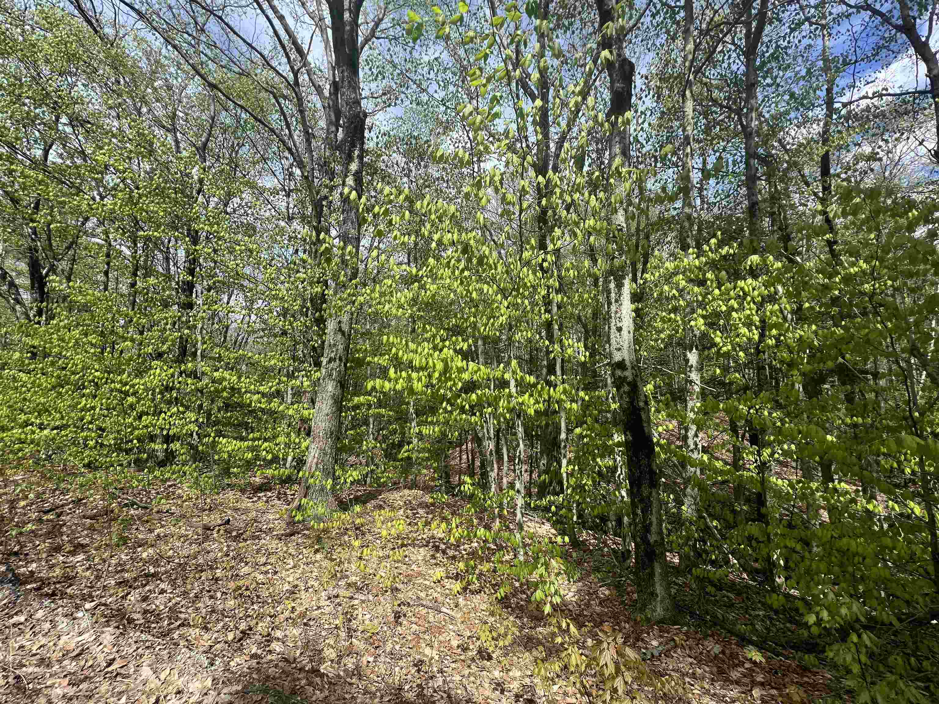 Lot 22-23 Onset Road Bennington, NH 03442 - Photo 2 of 6