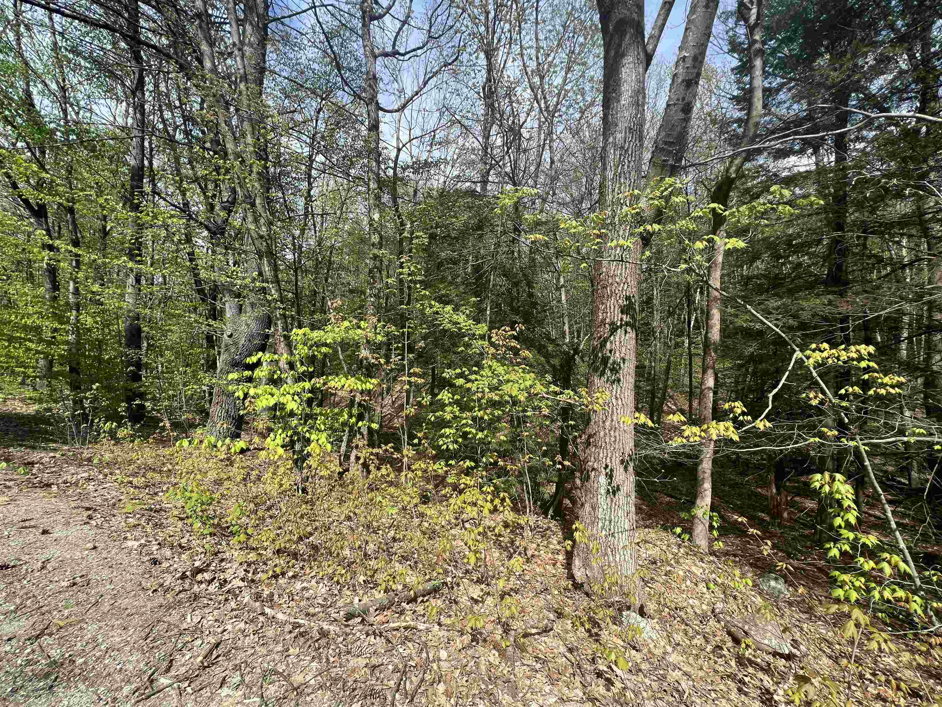 Lot 22-23 Onset Road Bennington, NH 03442 - Photo 3 of 6