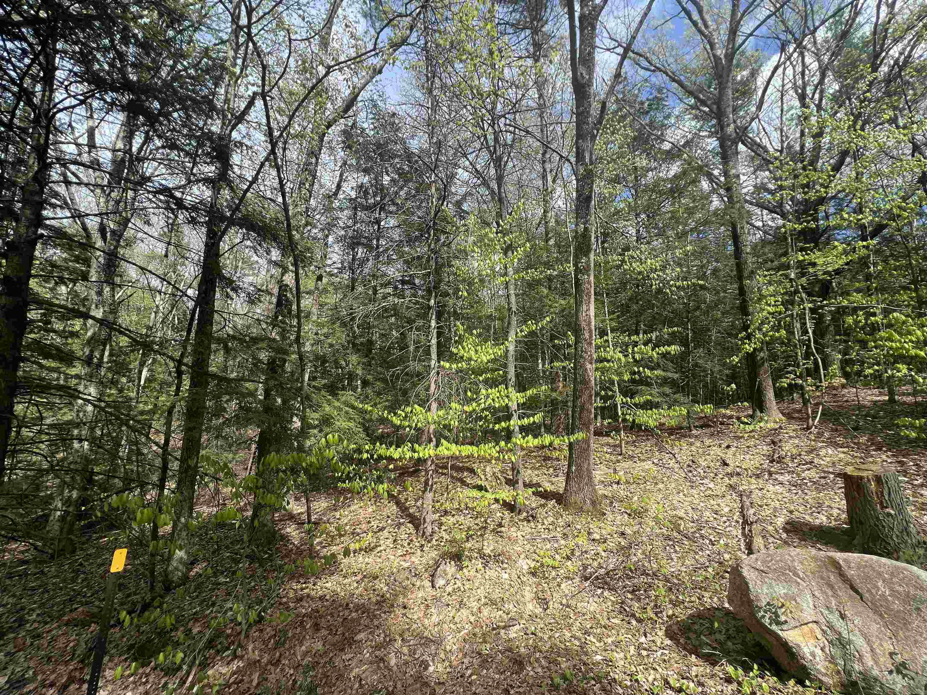 Lot 22-23 Onset Road Bennington, NH 03442 - Photo 5 of 6