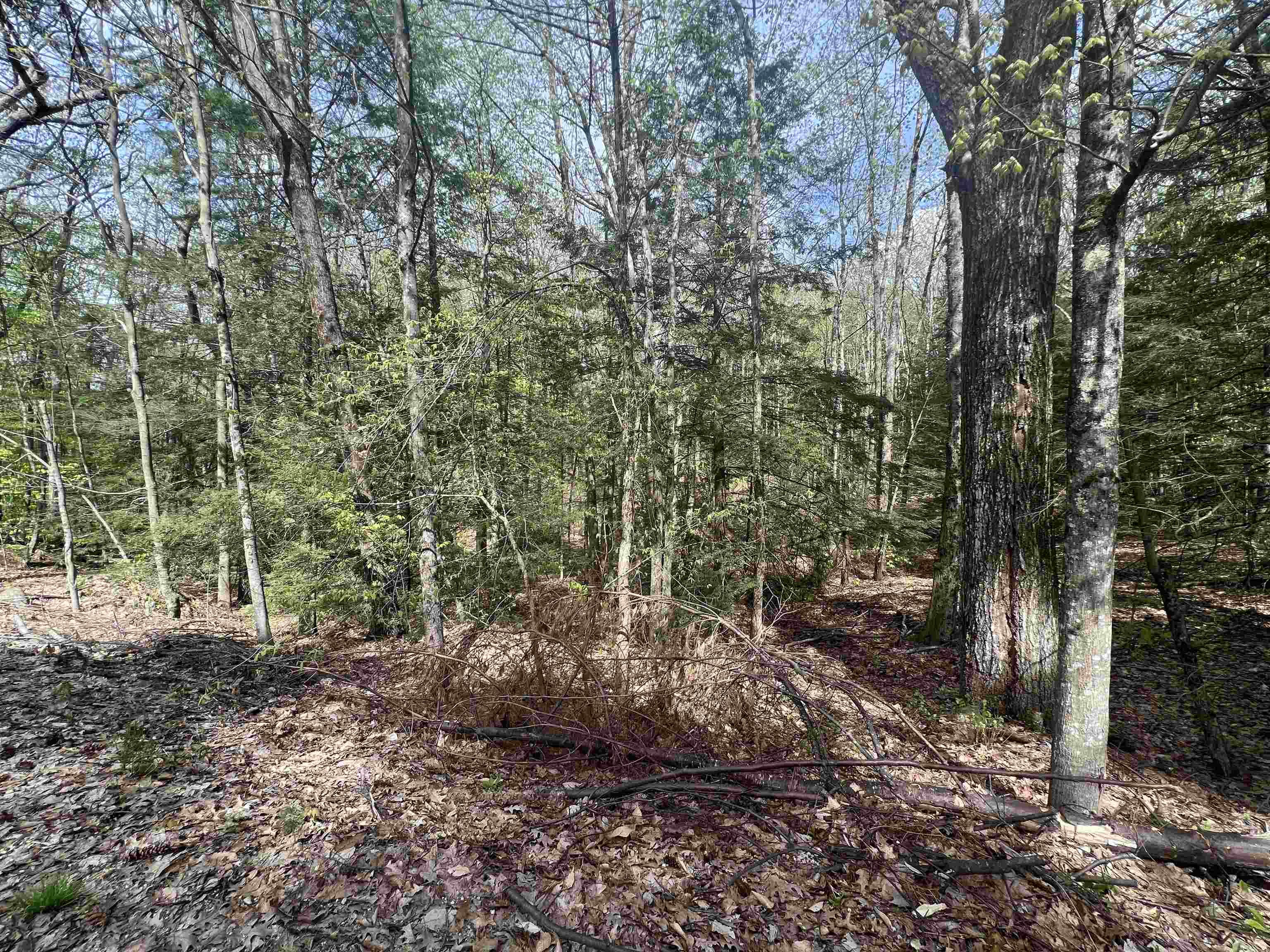 Lot 22-23 Onset Road Bennington, NH 03442 - Photo 6 of 6