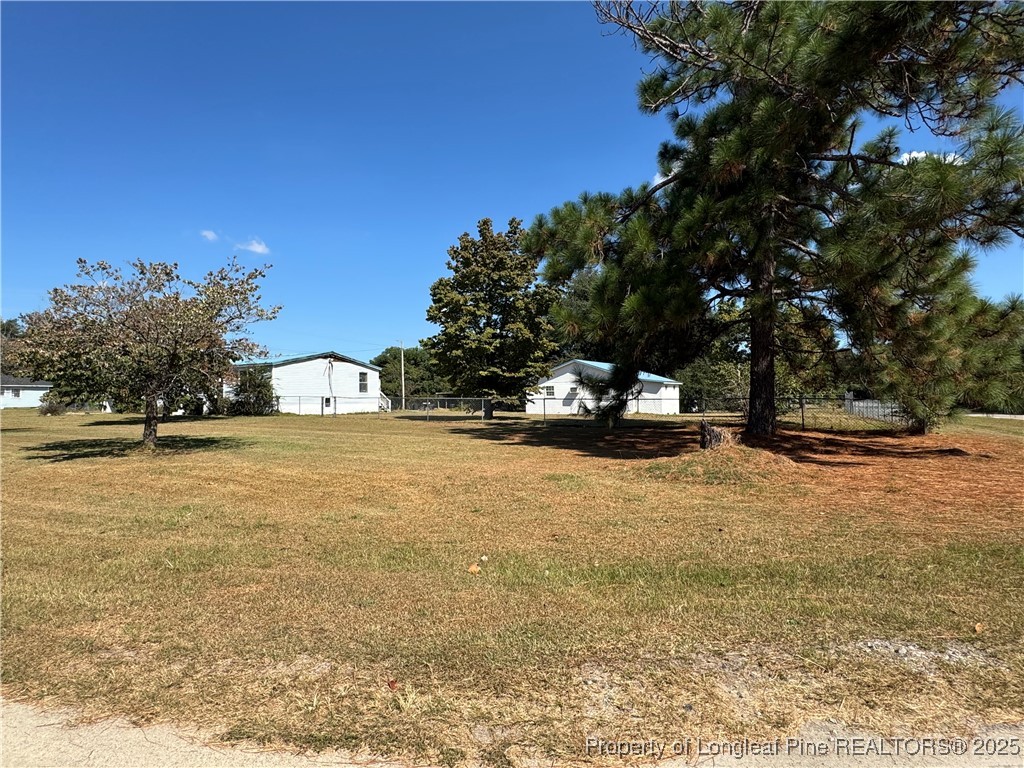 151 Ratley Street Raeford, NC 28376 - Photo 3 of 25