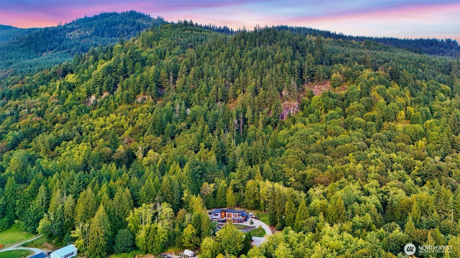 322 Manley Road Bellingham, WA 98229 - Photo 40 of 40 a view of a lush green forest with a mountain in the background