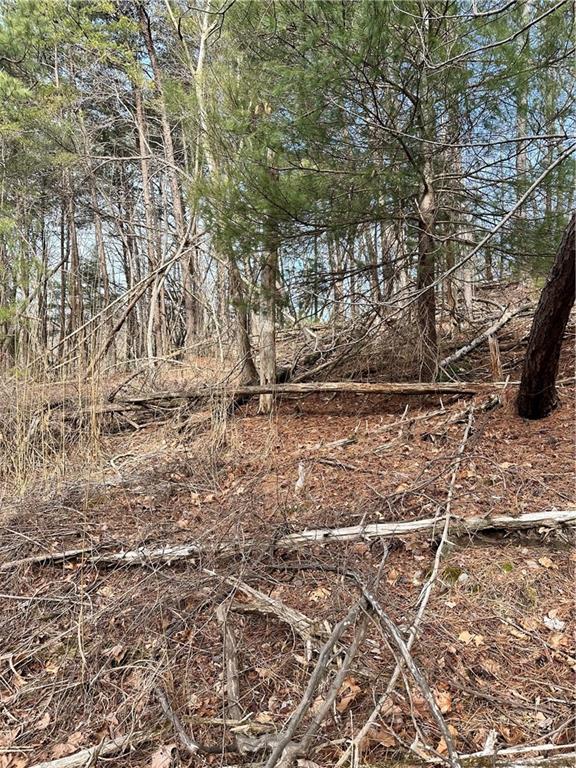 0 Log Swamp Drive Jasper, GA 30143 - Photo 2 of 7 a view of wooden fence