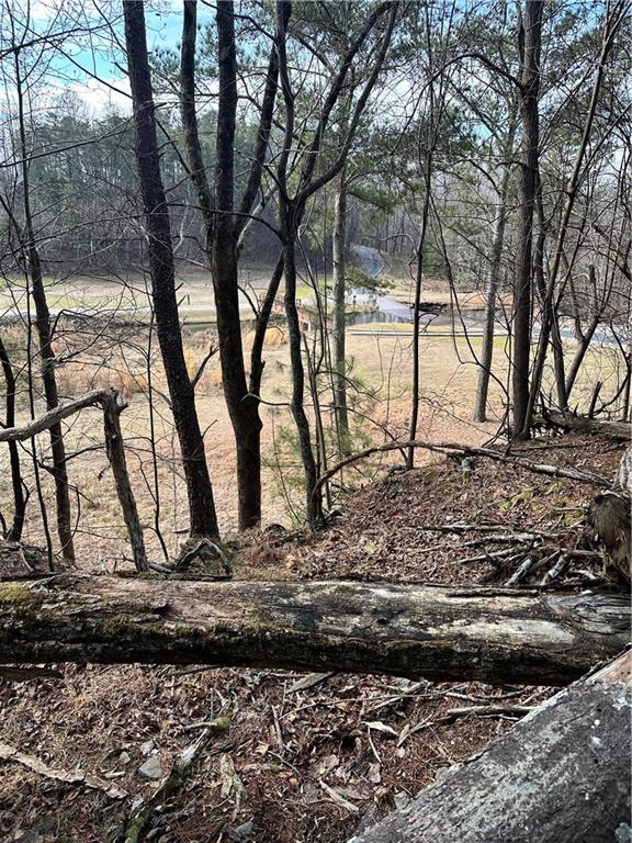 0 Log Swamp Drive Jasper, GA 30143 - Photo 3 of 7 a view of a backyard of the house