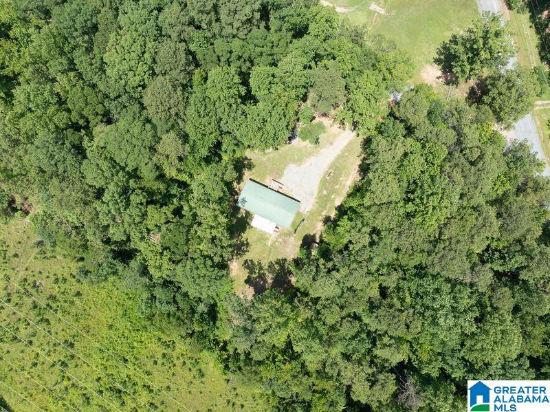 210 Gum Springs Road Sylacauga, AL 35151 - Photo 9 of 35