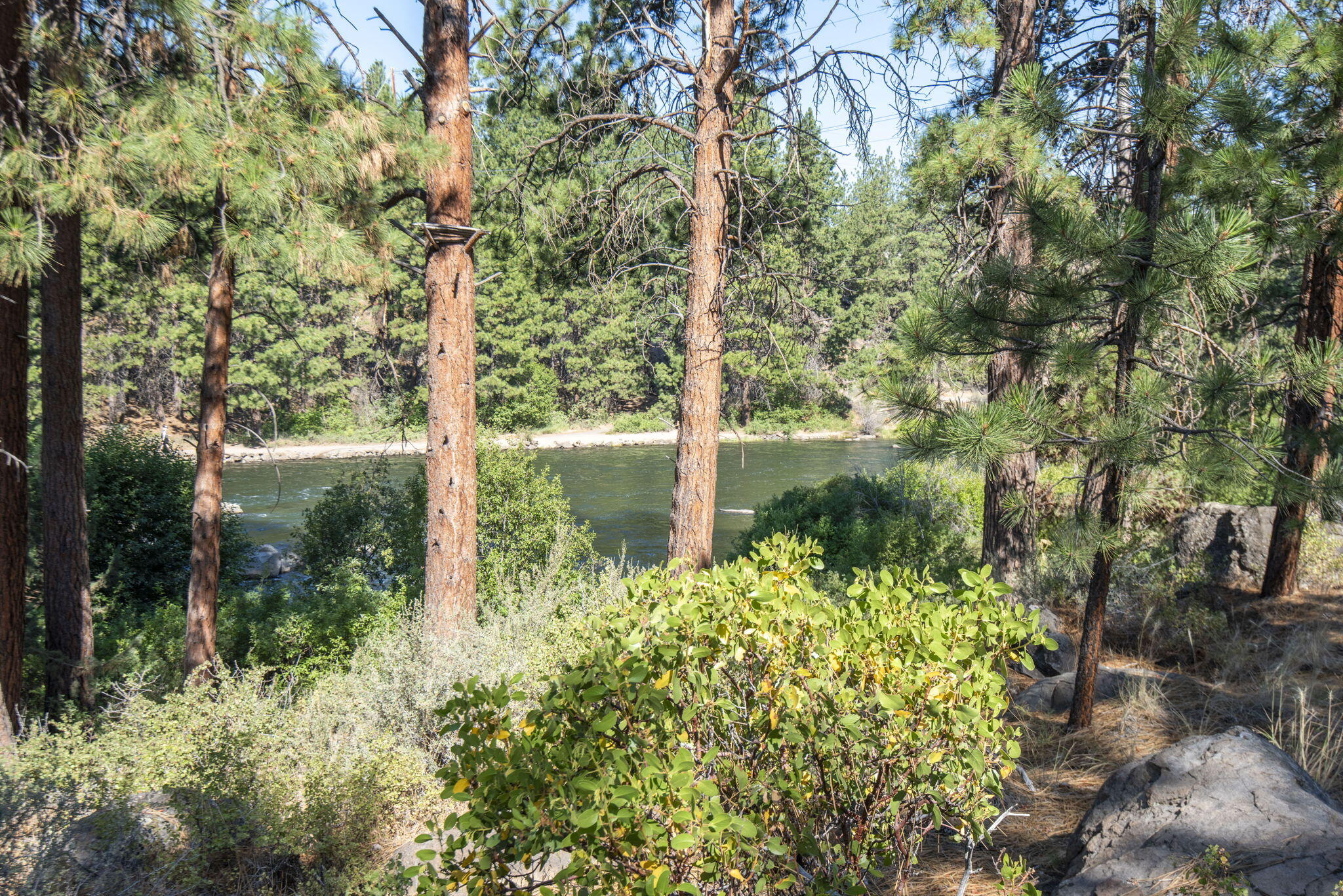 61647 Cedarwood Road Bend, OR 97702 - Photo 28 of 53 23-web-or-mls-DSC_9201