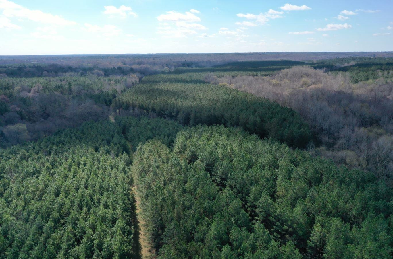 0 Moore Road Holly Springs, MS 38635 - Photo 1 of 30