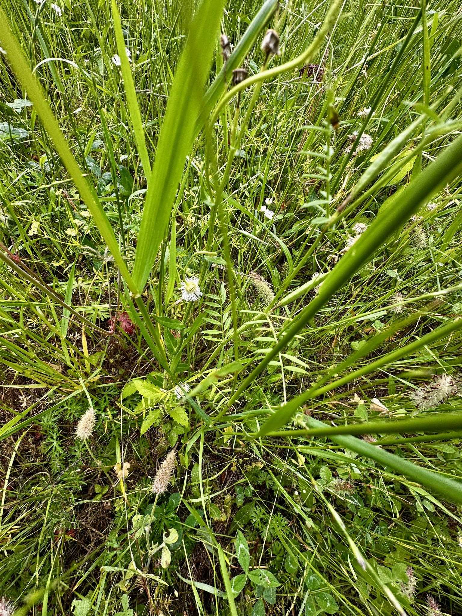 0 Moore Road Holly Springs, MS 38635 - Photo 20 of 30