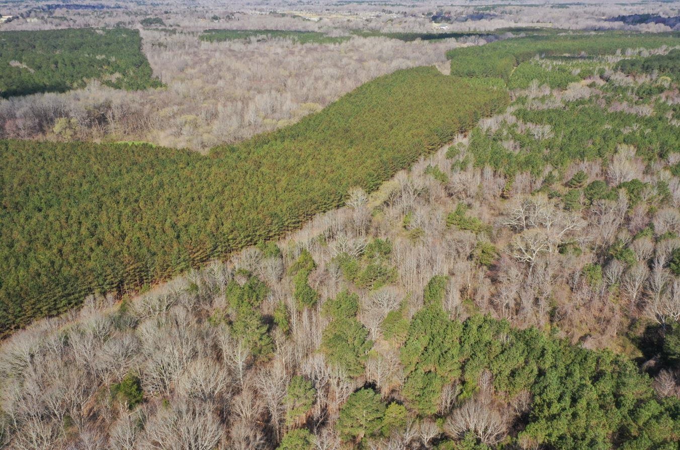 0 Moore Road Holly Springs, MS 38635 - Photo 2 of 30