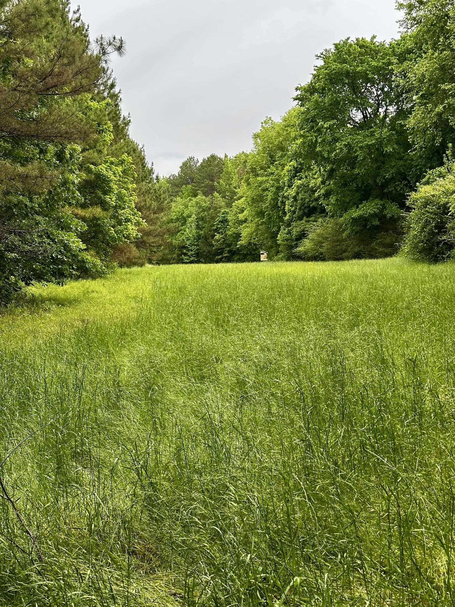 0 Moore Road Holly Springs, MS 38635 - Photo 22 of 30