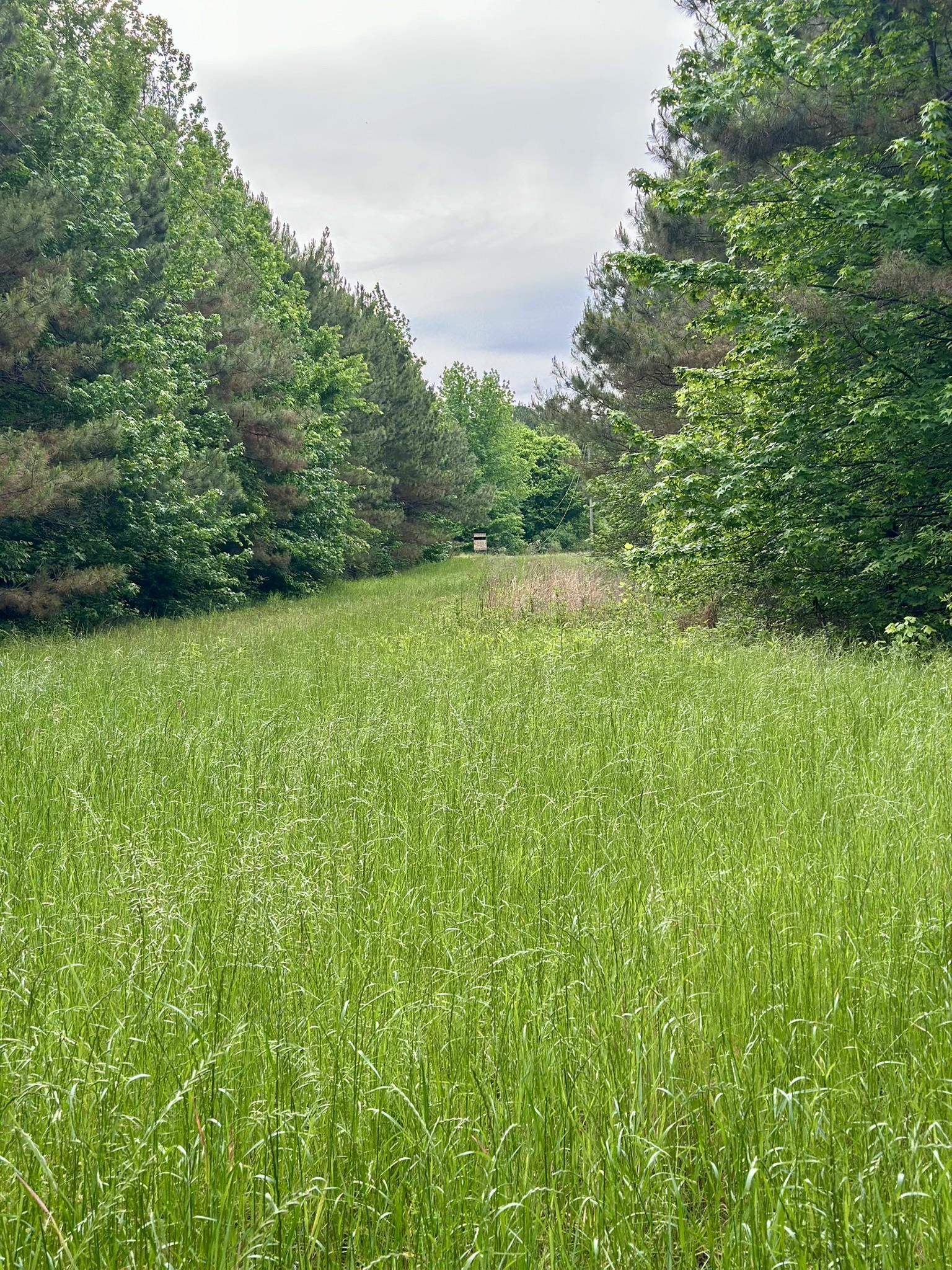 0 Moore Road Holly Springs, MS 38635 - Photo 23 of 30