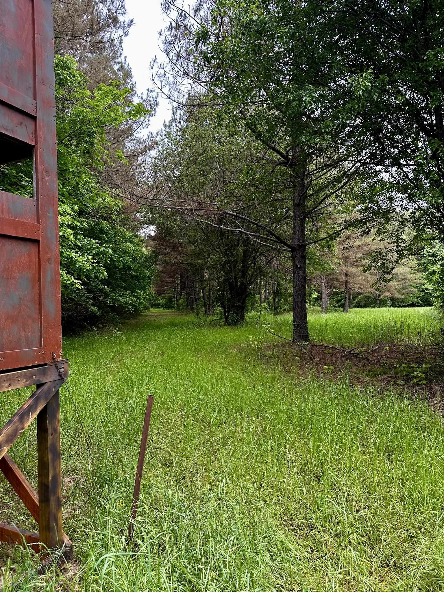 0 Moore Road Holly Springs, MS 38635 - Photo 24 of 30