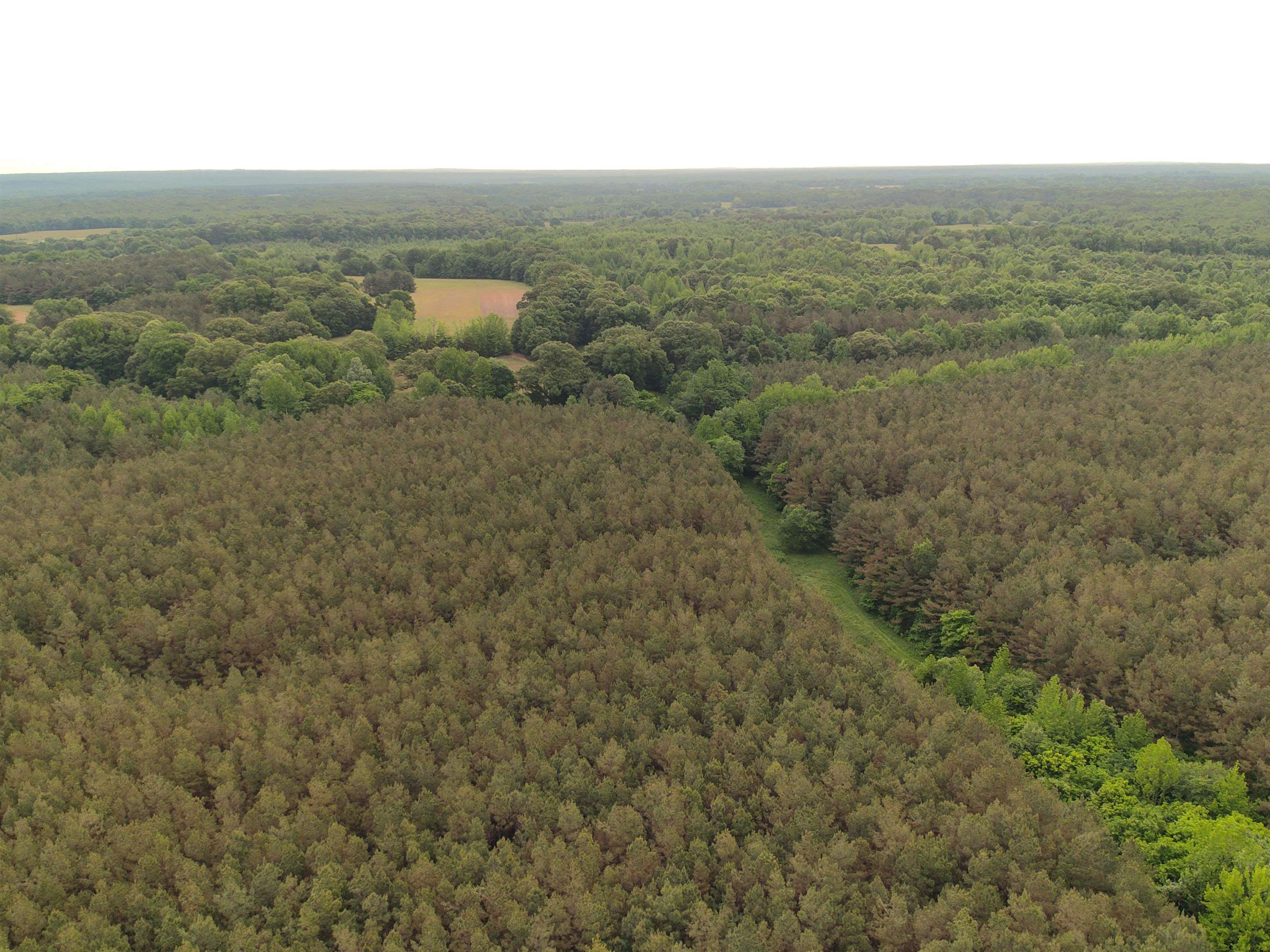 0 Moore Road Holly Springs, MS 38635 - Photo 28 of 30