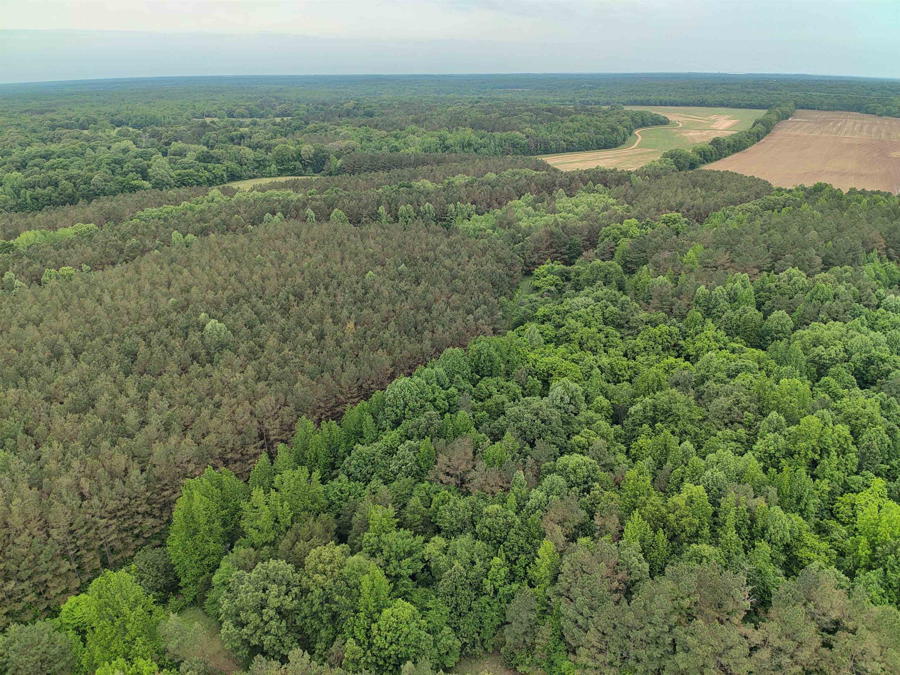 0 Moore Road Holly Springs, MS 38635 - Photo 7 of 30