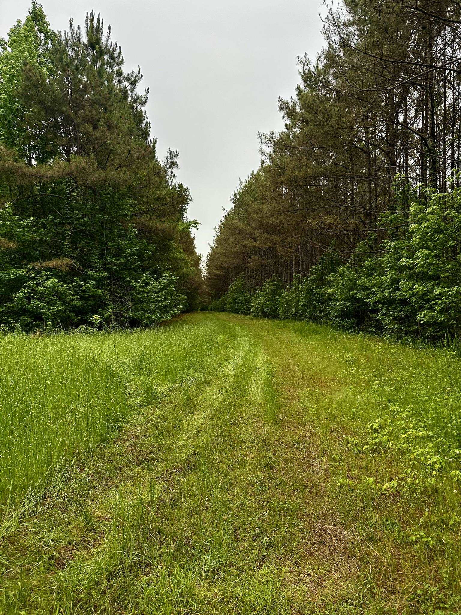 0 Moore Road Holly Springs, MS 38635 - Photo 8 of 30