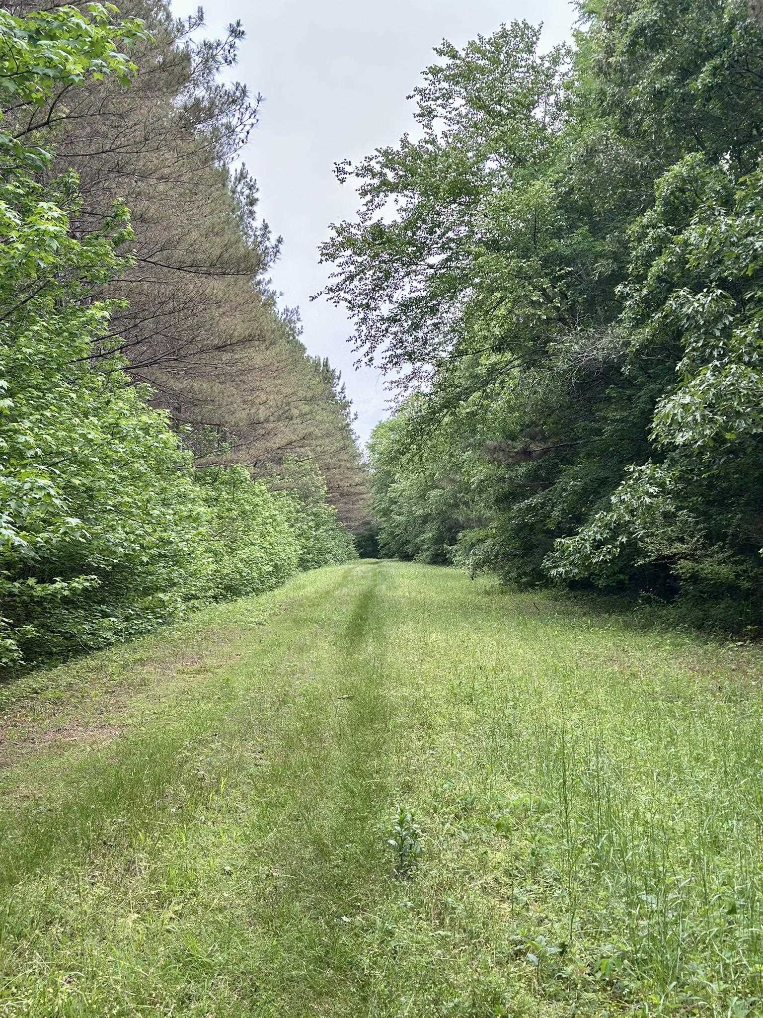 0 Moore Road Holly Springs, MS 38635 - Photo 10 of 30