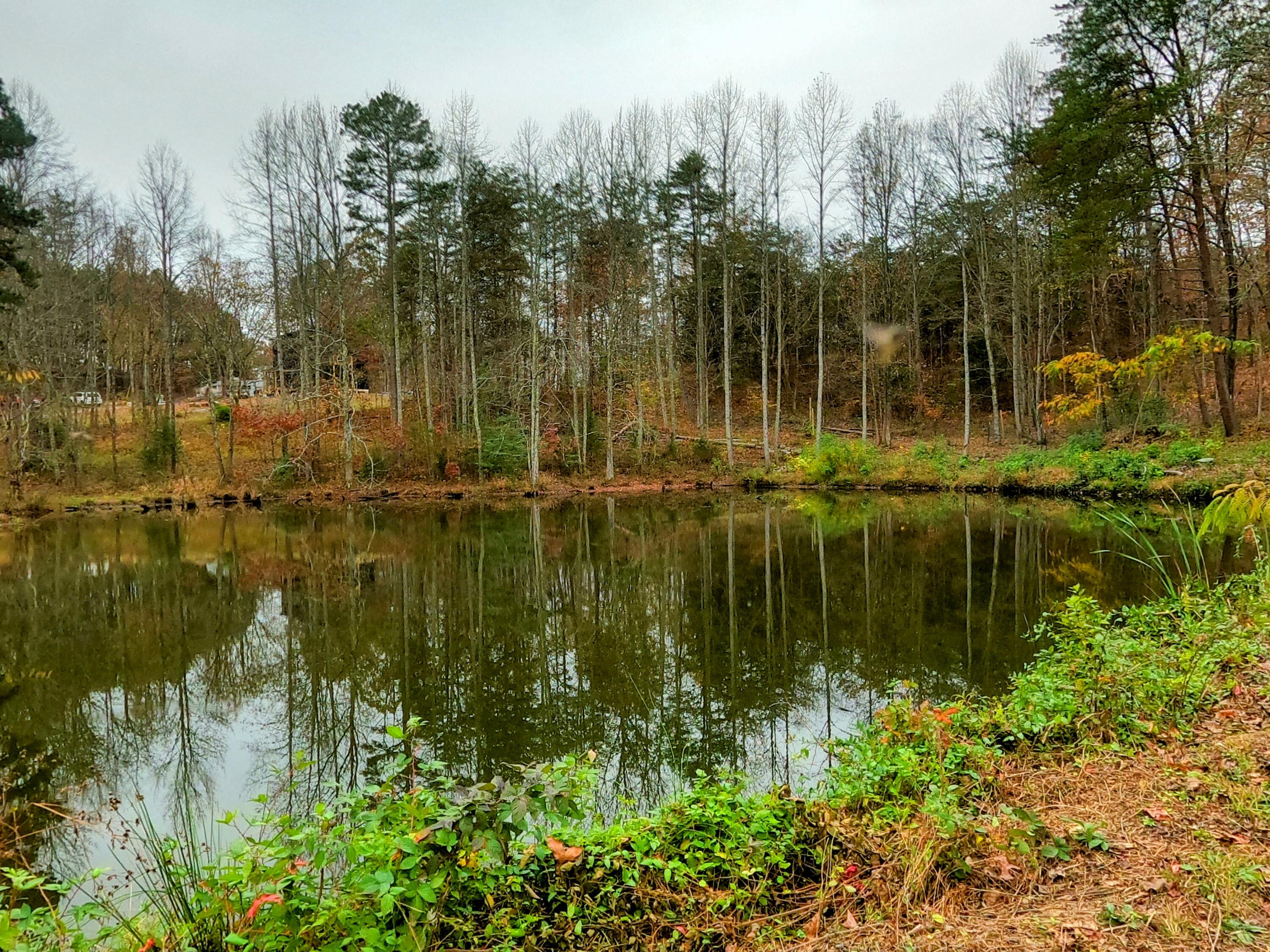1404 Craig Road Williamsburg, KY 40769 - Photo 27 of 30 stocked pond