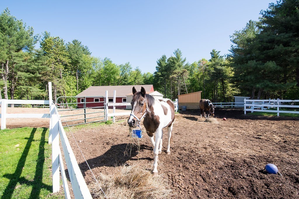 65 Wyman Road Groton, MA 01450 - Photo 21 of 30 Gallery Image 21