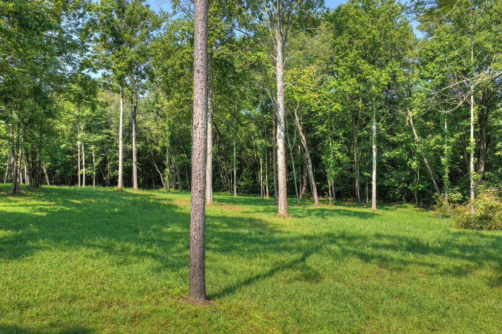 1.35-ac Wolfcreek Road Murphy, NC 28906 - Photo 10 of 10 Gallery Image 10