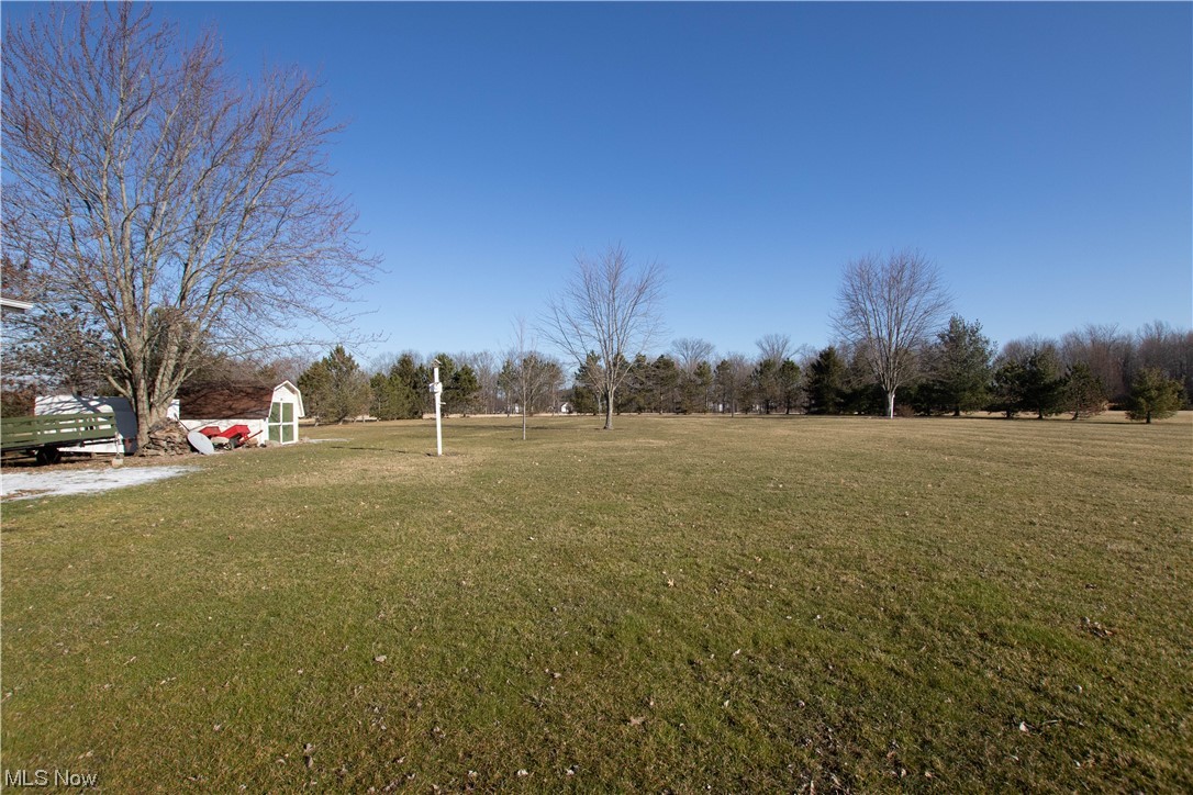 9459 Stone Road Litchfield, OH 44253 - Photo 37 of 50 View of yard