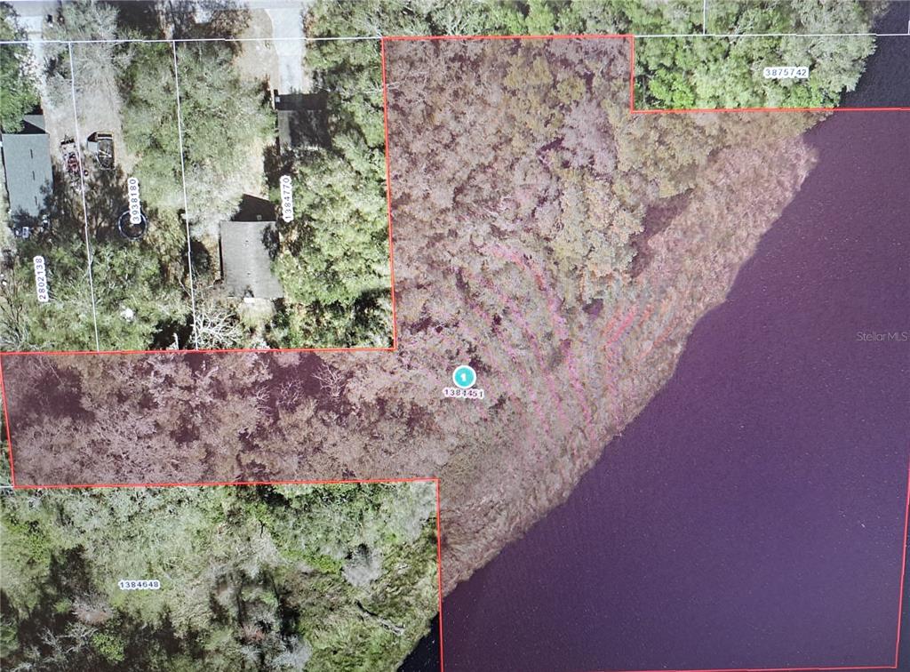 0 Knight Street Mascotte, FL 34753 - Photo 1 of 2