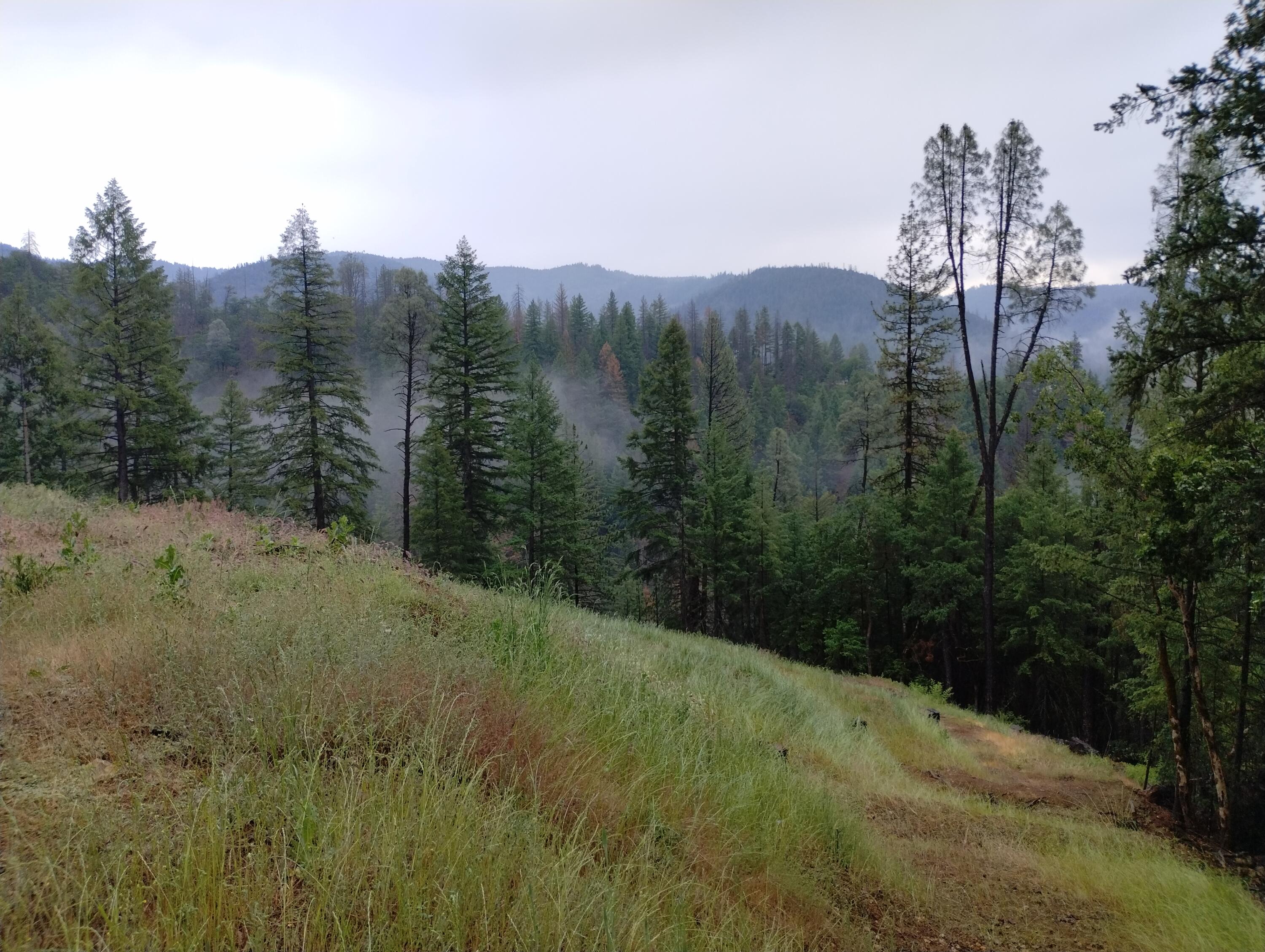15147 Highway 3 Hayfork, CA 96041 - Photo 21 of 29 1 (101)
