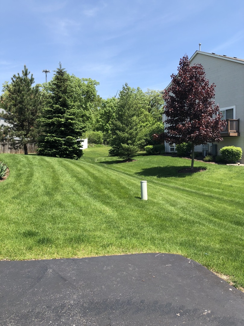 34377 North Barberry Road Round Lake, IL 60073 - Photo 2 of 16