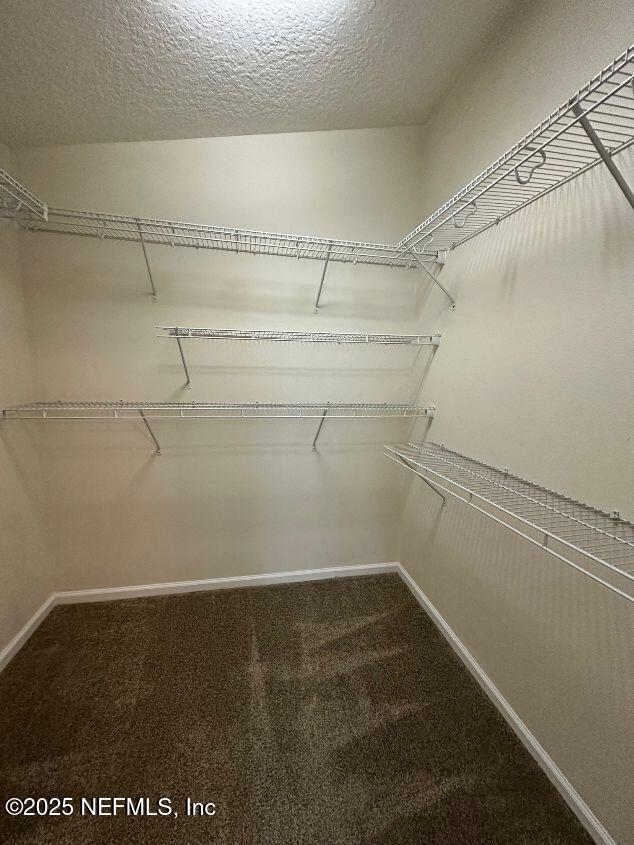 13355 Solar Drive Jacksonville, FL 32258 - Photo 14 of 23 Master Closet