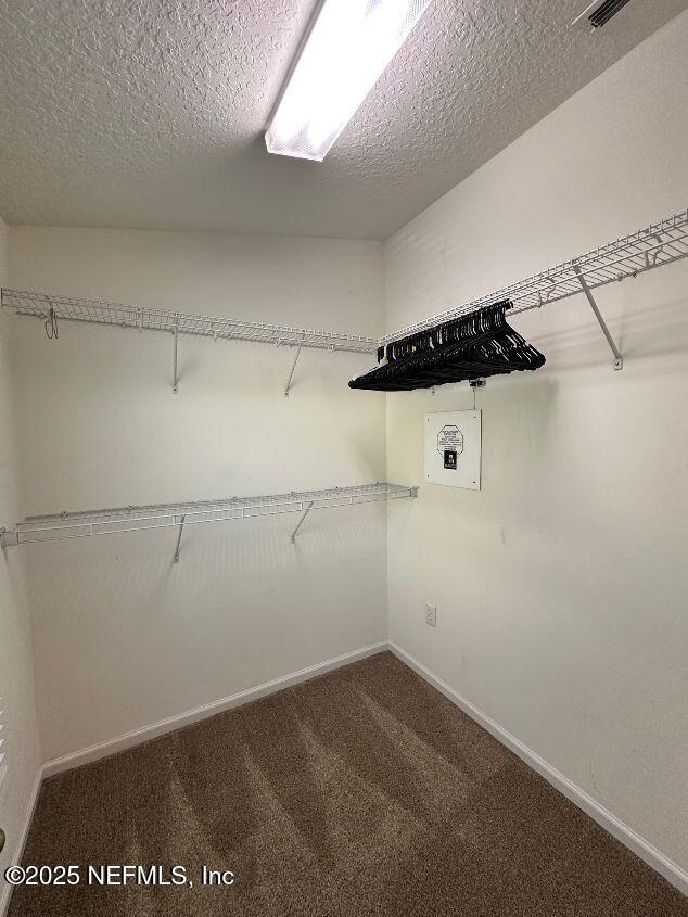 13355 Solar Drive Jacksonville, FL 32258 - Photo 18 of 23 Bedroom 2 Closet