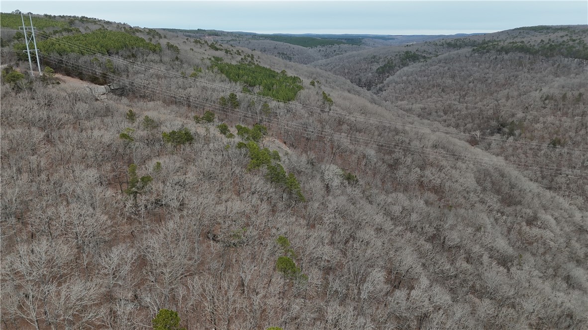 0 Old Brewer Road South Edgemont, AR 72044 - Photo 8 of 60 View of mountain background featuring a heavily wooded area