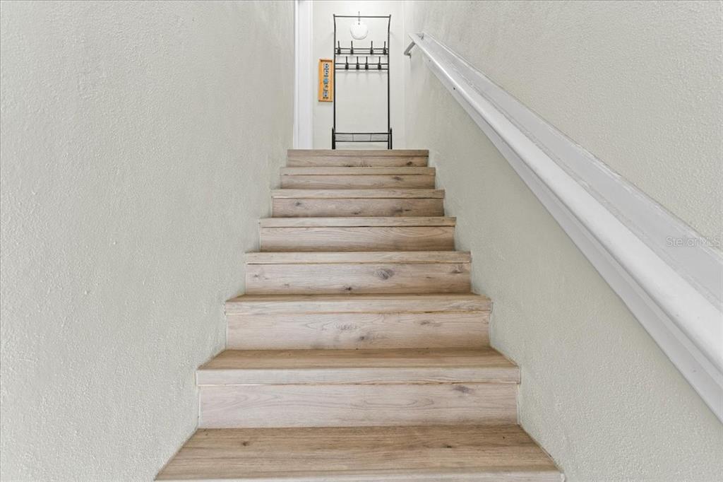 5627 Red Snapper Court New Port Richey, FL 34652 - Photo 12 of 54