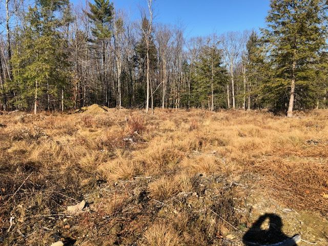 Knowles Pond Road Northfield, NH 03276 - Photo 4 of 8 Gallery Image 4