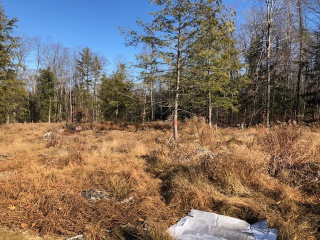 Knowles Pond Road Northfield, NH 03276 - Photo 7 of 8 Gallery Image 7