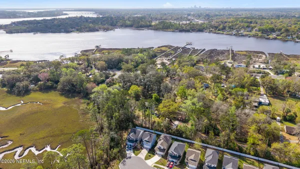 an aerial view of forest