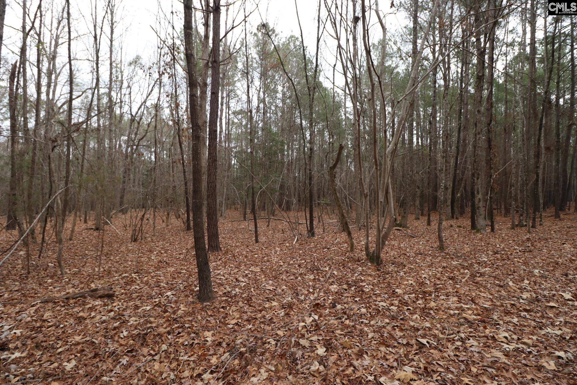 Lot 229 Granny Hill Road Prosperity, SC 29127 - Photo 52 of 61