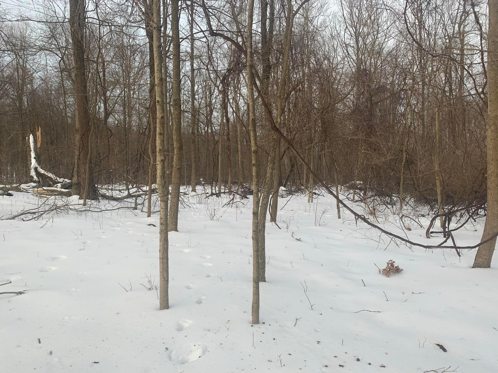 0 Paige Road Mount Vernon, OH 43050 - Photo 7 of 13 Gallery Image 7