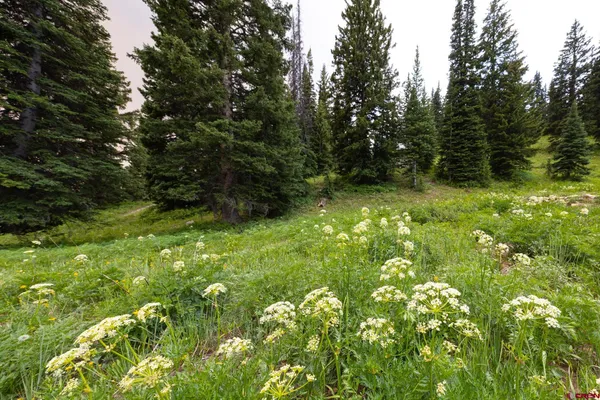$125,000 | 290 7th Street, Crested Butte, CO 81224