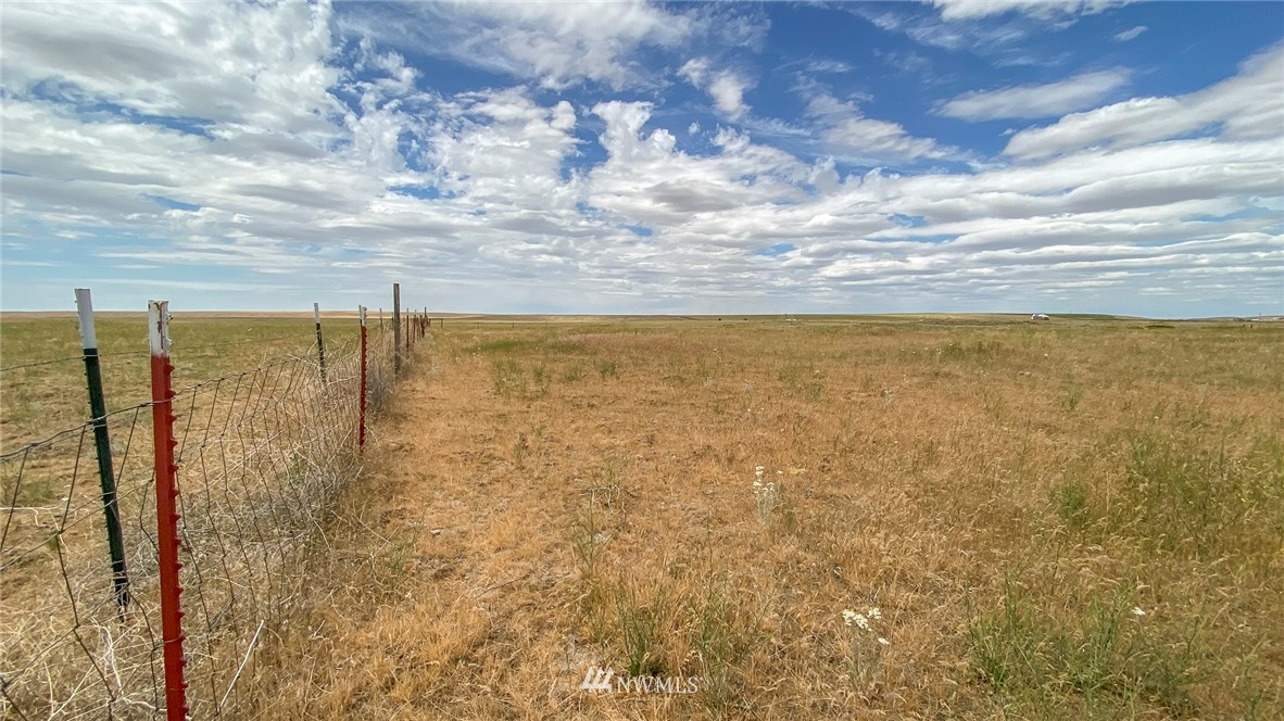 2365 Neergaard Road Ritzville, WA 99169 - Photo 29 of 40