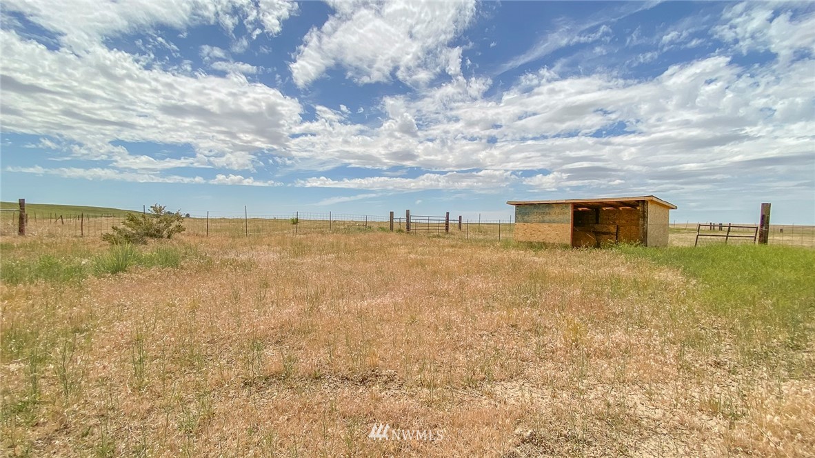 2365 Neergaard Road Ritzville, WA 99169 - Photo 7 of 40